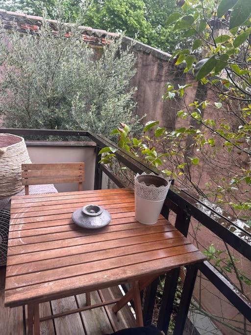 Apartamento Jardin Des Plantes Parking Securise Terrasse Et Ascenseur Toulouse