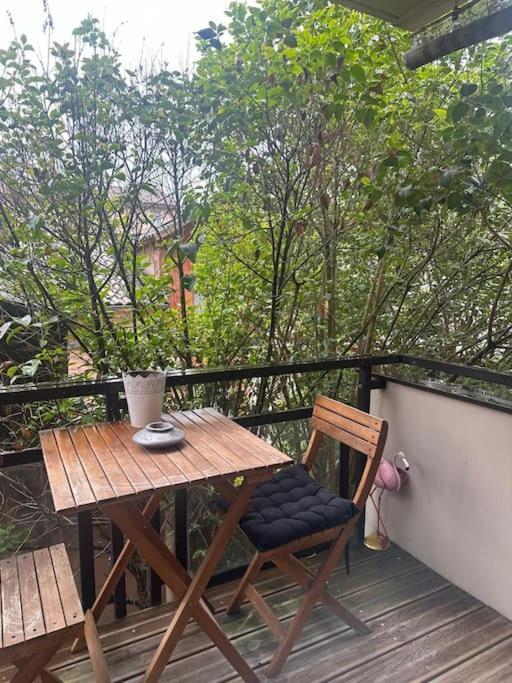 Jardin Des Plantes Parking Securise Terrasse Et Ascenseur Apartment Toulouse