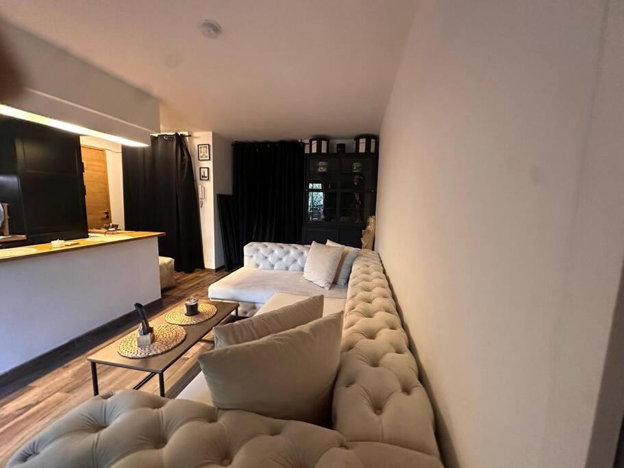 Apartment Jardin Des Plantes Parking Securise Terrasse Et Ascenseur *